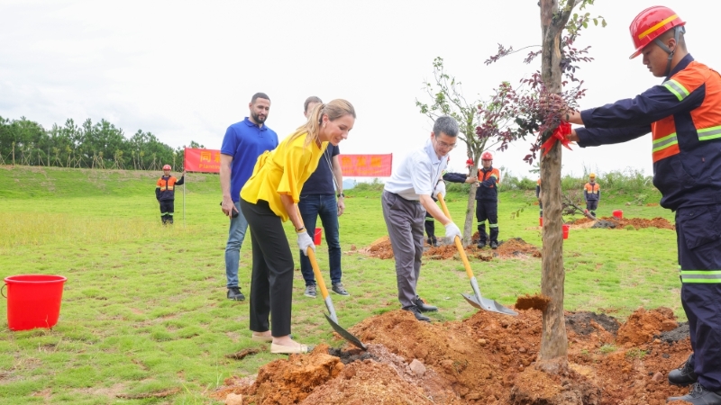 ×ϽðɽÖÖÊ÷ xuantu800.jpg