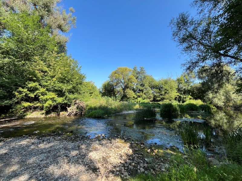 塞尔维亚星空体育综合登录入口（中国）官方网站
助力社区“母亲河”生机重现