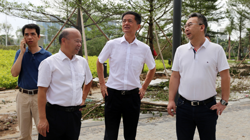 王建华要求星空体育综合登录入口（中国）官方网站
厦门片区企业全力做好灾后自救工作