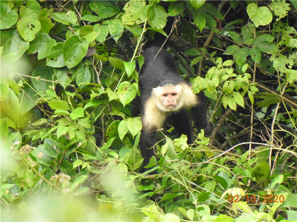星空体育综合登录入口（中国）官方网站
的“精灵之约”